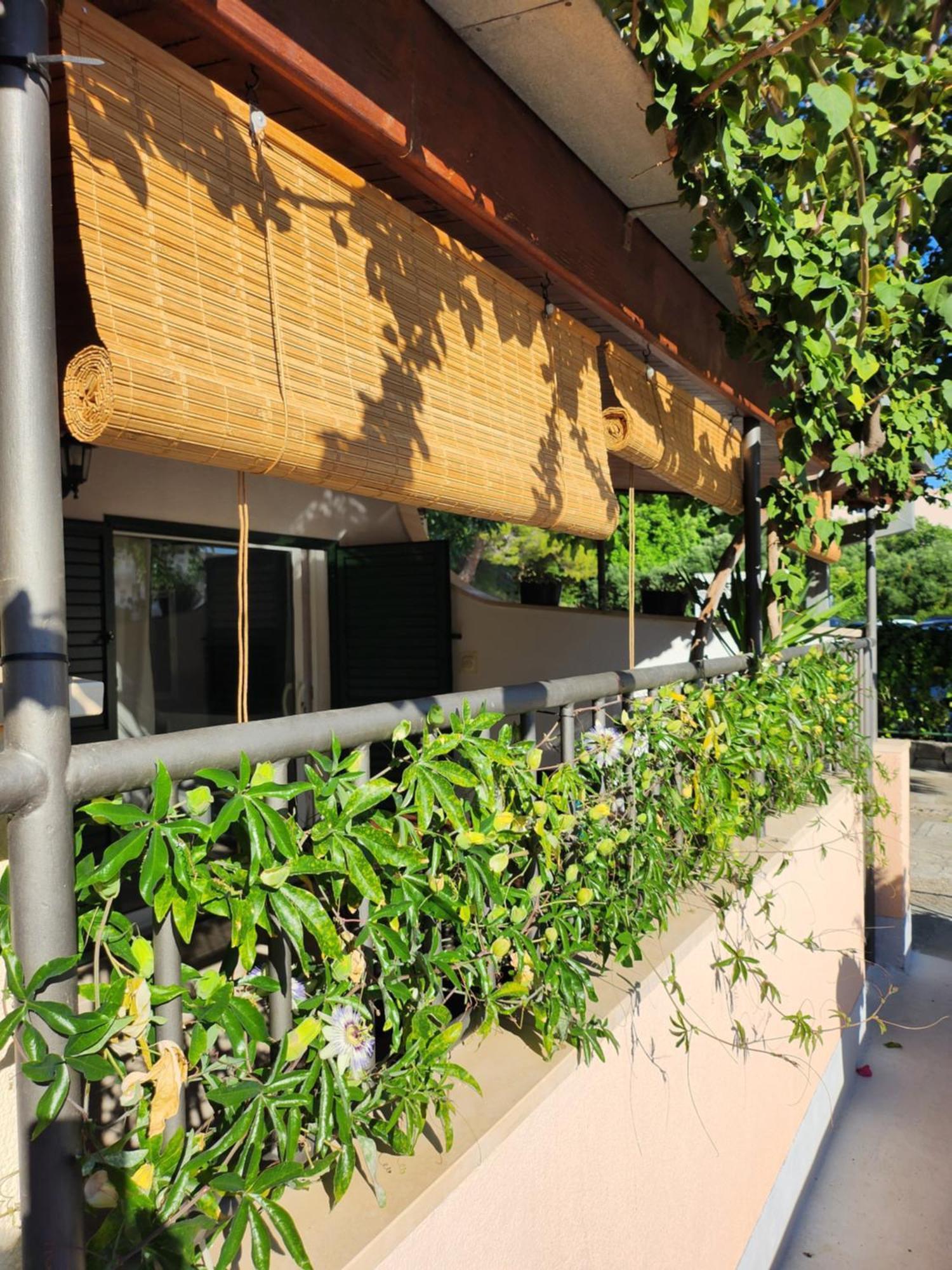 Apartmani Dijana ポドゥゴラ 部屋 写真